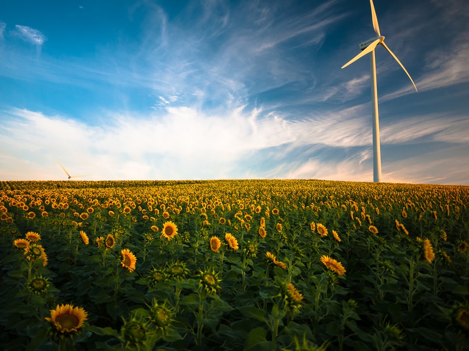 Les énergies vertes